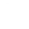 f-icon1